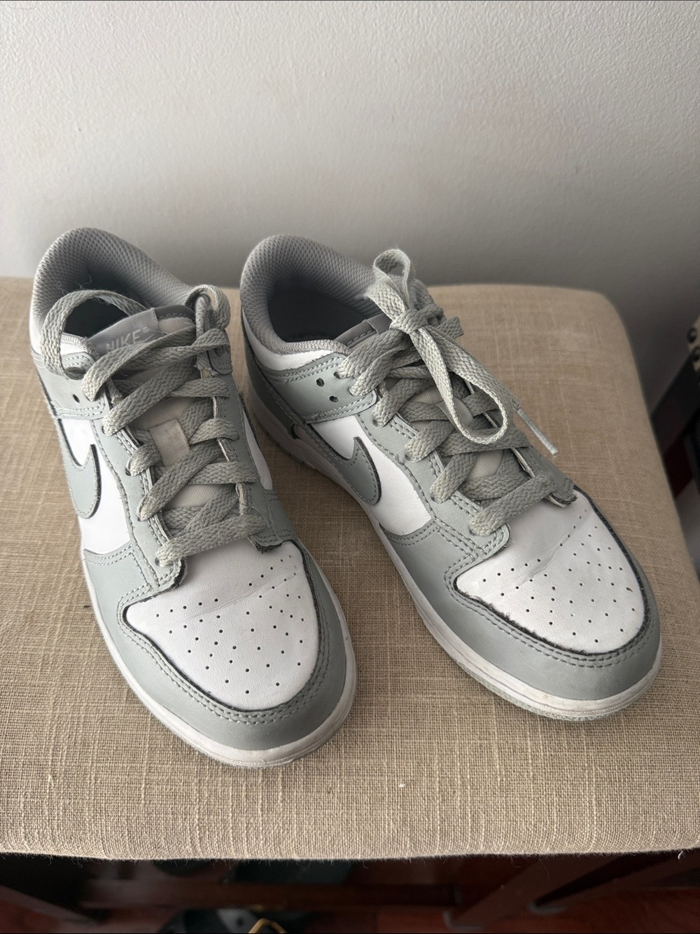 Nike Boys Dunk Low  Light Gray and White Low-Top size 2.5